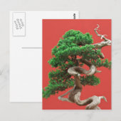 Juniper bonsai briefkaart (Voorkant / Achterkant)