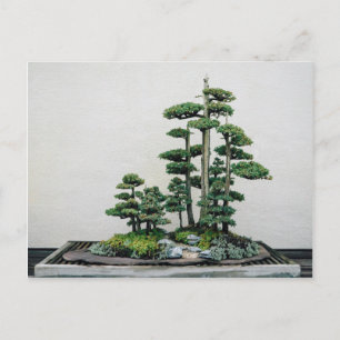 Juniper Bonsai Forest Briefkaart