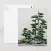 Juniper Bonsai Forest Briefkaart (Voorkant / Achterkant)