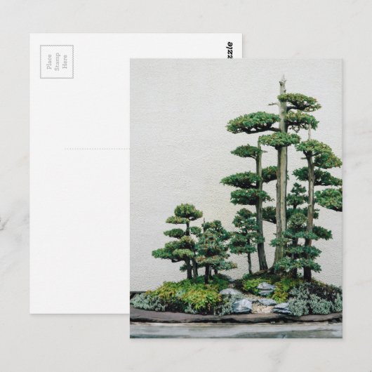 Juniper Bonsai Forest Briefkaart (Voorkant / Achterkant)