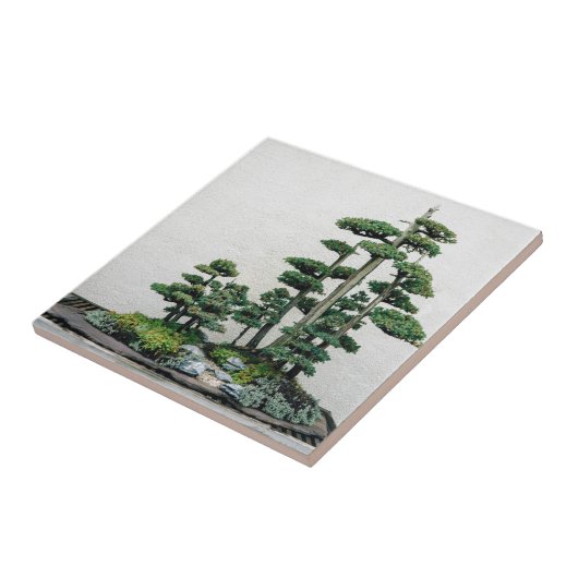 Juniper Bonsai Forest Tegeltje (Zijkant)