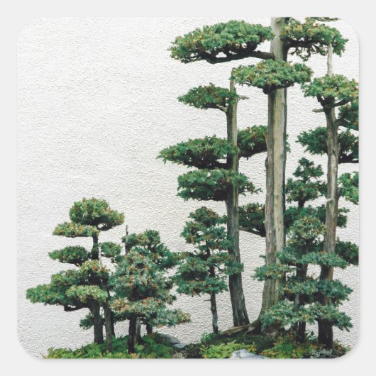 Juniper Bonsai Forest Vierkante Sticker (Voorkant)