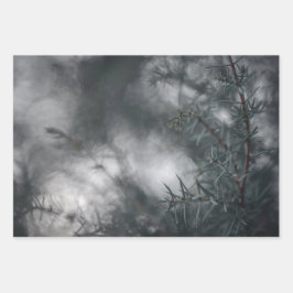 Juniper Floral Natuur Foto Inpakpapier Vel