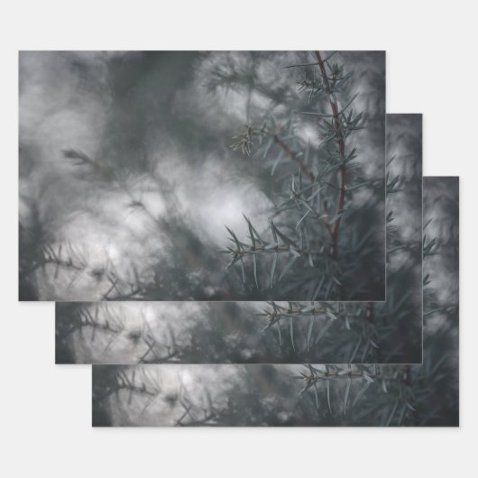 Juniper Floral Natuur Foto Inpakpapier Vel (Set)