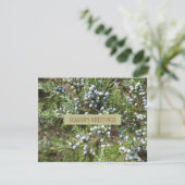 Juniper landscapingvisitekaartje feestdagenkaart (Staand voorkant)