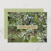 Juniper landscapingvisitekaartje feestdagenkaart (Voorkant / Achterkant)