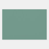 Juniper & Mint Wrapping Paper Flat Sheet Set of 3 (Voorkant 2)