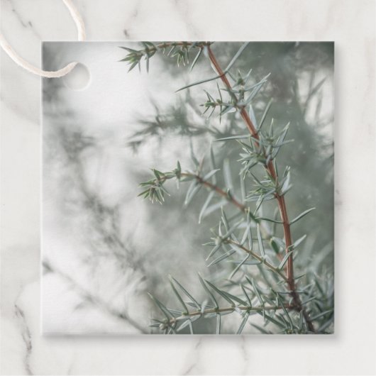 Juniper Natuur Foto Bedankjes Labels (Voorkant)