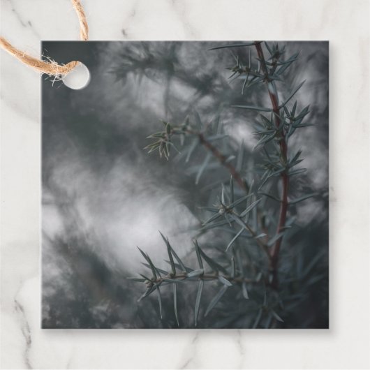 Juniper Natuur Foto Bedankjes Labels (Voorkant)