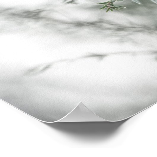 Juniper Natuur Foto Poster (Hoek)