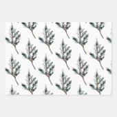 Juniper Pine Tree Branch Cones & Red Ilex Berries Inpakpapier Vel (Voorkant 3)