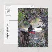 Juniper Springs, Fl Briefkaart (Voorkant / Achterkant)