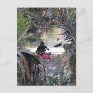 Juniper Springs, Fl Briefkaart