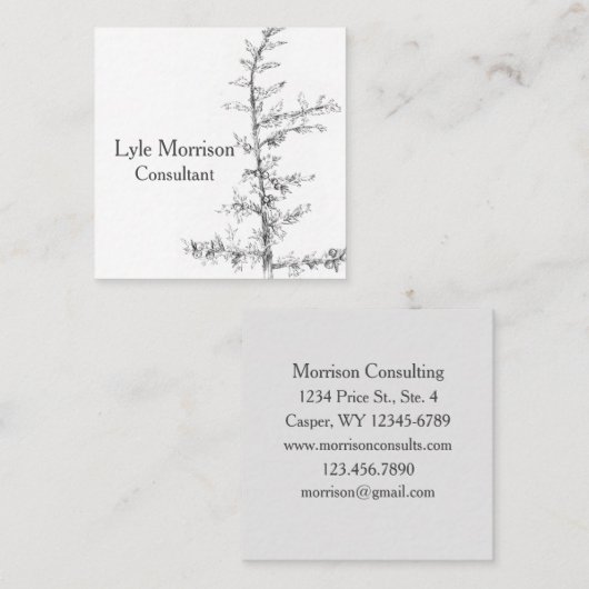 Juniper Tree Branch Pen Inkt Tekening Zwart Wit Vierkante Visitekaartje (Voorkant / Achterkant)