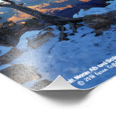 Juniper Tree op sneeuw bij zonsopgang in Grand Can Foto Afdruk (Hoek)