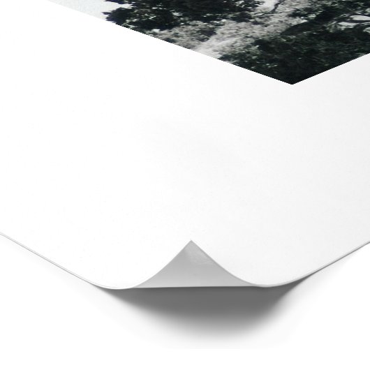 Juniper Tree Poster (Hoek)