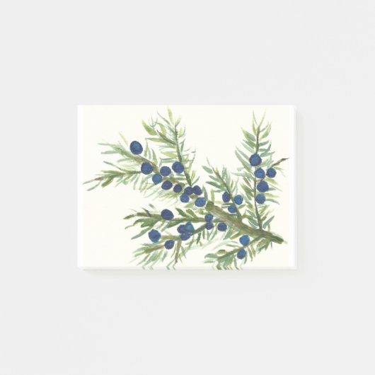 Juniper twig met blauwe bessen post-it® notes (Voorkant)