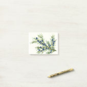 Juniper twig met blauwe bessen post-it® notes (Op bureau)