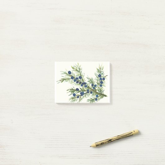 Juniper twig met blauwe bessen post-it® notes (Op bureau)