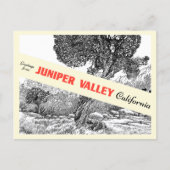 Juniper Valley Gift Shop Briefkaart (Voorkant)