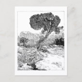 Juniper Valley Wilderness - Briefkaart (Voorkant)