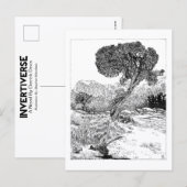 Juniper Valley Wilderness - Briefkaart (Voorkant / Achterkant)