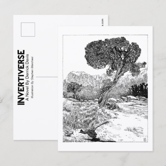 Juniper Valley Wilderness - Briefkaart (Voorkant / Achterkant)