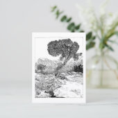 Juniper Valley Wilderness - Briefkaart (Staand voorkant)