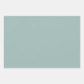 Juniper Wrapping Paper Flat Sheet Set of 3 (Voorkant 3)