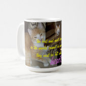 Junipurr helen keller citeert mok met meerdere pic (Voorkant links)