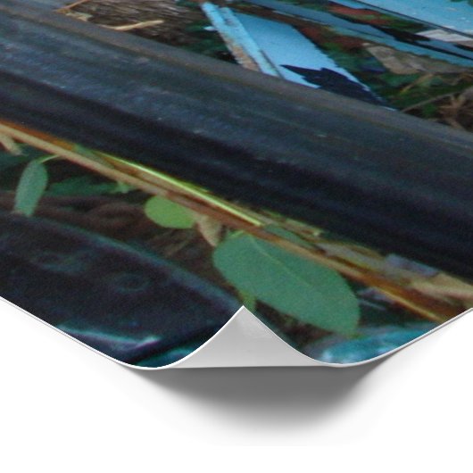  junk Hunting in St. Louis! Poster (Hoek)