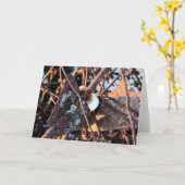 Junk Pile Roest en Schimmels Stilleven Kaart (Gele Bloem)