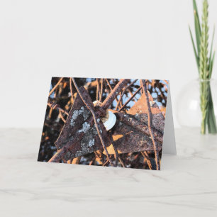 Junk Pile Roest en Schimmels Stilleven Kaart