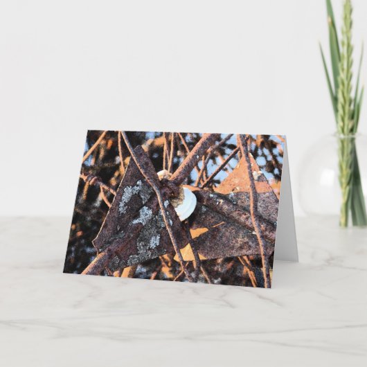 Junk Pile Roest en Schimmels Stilleven Kaart (Voorkant)