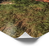 Junkyard Treasures Perfect Poster (Hoek)