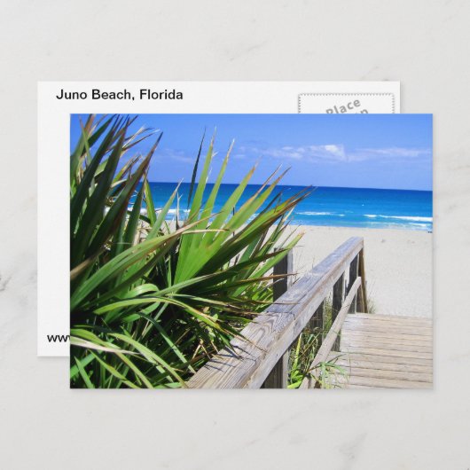 Juno Beach Florida Briefkaart (Voorkant / Achterkant)