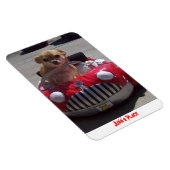 Juno Magnet Magneet (Rechterzijde)