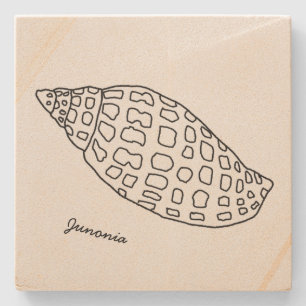 Junonia Seashell Drawing Tropische Stone Onderzett Stenen Onderzetter
