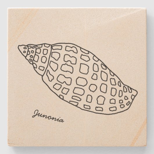 Junonia Seashell Drawing Tropische Stone Onderzett Stenen Onderzetter (Voorkant)