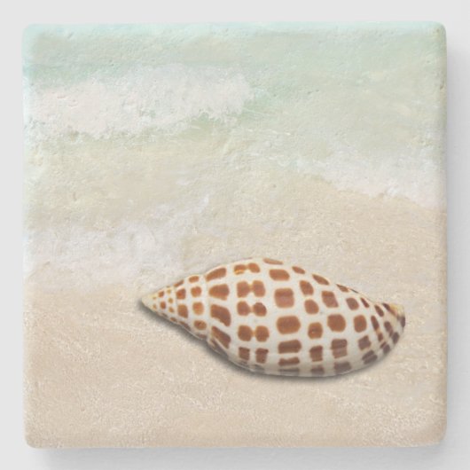 Junonia Seashell op de Onderzetters van de strand (Voorkant)
