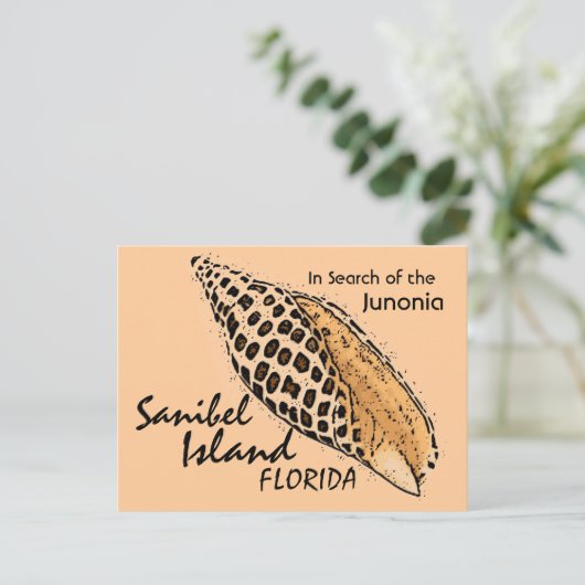 Junonia shell Sanibel Island humor briefkaart (Staand voorkant)
