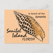 Junonia shell Sanibel Island humor briefkaart (Voorkant)