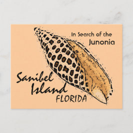 Junonia shell Sanibel Island humor briefkaart