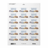 Junonia Zeeschelp Rand Brede Retouradres Labels (Full Sheet)