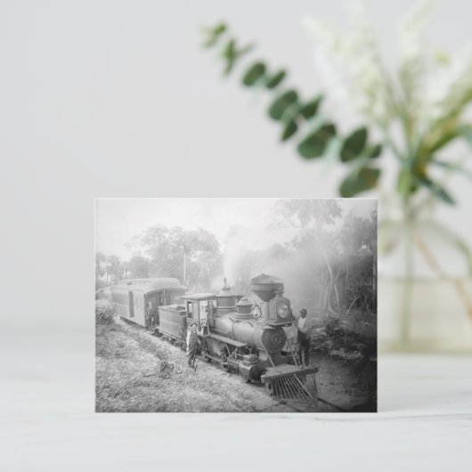 Jupiter and Lake Worth Railroad, 1897 Briefkaart (Staand voorkant)