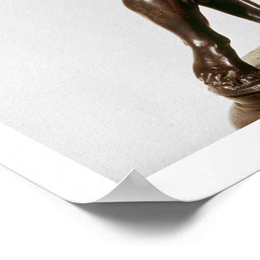 Jupiter (brons) poster (Hoek)