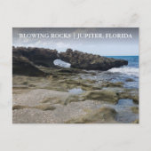 Jupiter Eiland Florida Blowing Rocks Preserve Briefkaart (Voorkant)