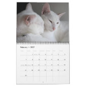 Jupiter en Kona's Kat Calender 2011-2012 Kalender (Feb 2027)