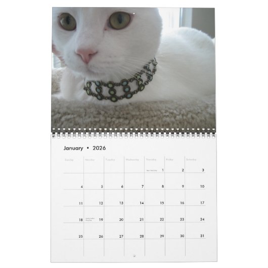 Jupiter en Kona's Kat Calender 2011-2012 Kalender (Jan 2026)