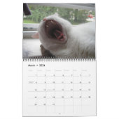Jupiter en Kona's Kat Calender 2011-2012 Kalender (Mar 2026)